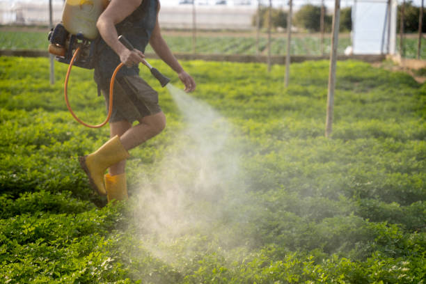 Best Pest Control for Restaurants  in Prescott, AZ
