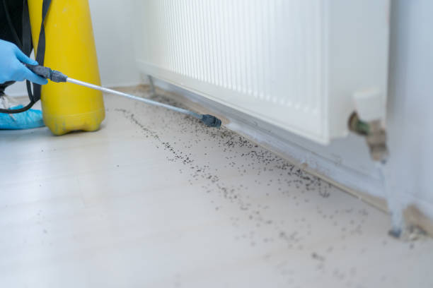Pest Control Cost in Prescott, AZ